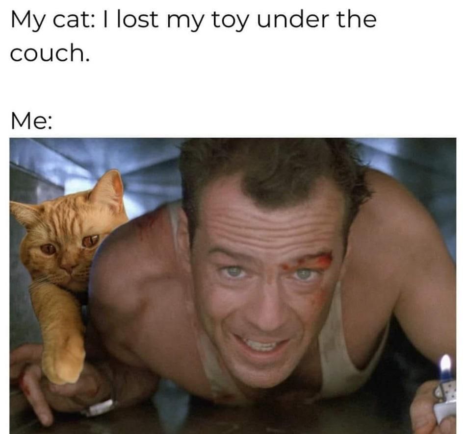 WholesomeMeme's tweet photo. https://t.co/WUN3xTZFe1