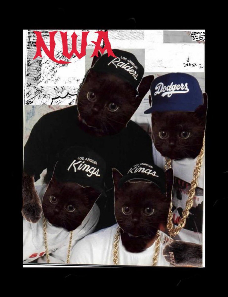 Conrmic's tweet image. Well $nigi gets like 5-10 posts a minute and price is down ~50% in the last 24 hours. Bullish community if you’re looking for one 💥