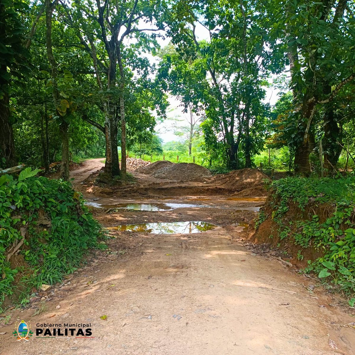 prensaalcaldiap's tweet photo. Seguimos trabajando por dignificar las condiciones de los campesinos Pailitenses y mejorar la productividad del sector rural. En esta ocasión con la construcción de un puente entre la vereda La Paz y el Corregimiento de Rivera, hacia el casco urbano. https://t.co/F8kj8ILEx0