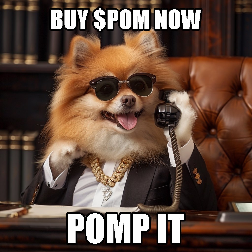 cryptomadnes's tweet photo. @TKralow $POM THE BEST DOG ON SOLANA https://t.co/ymC2VsaJYB
