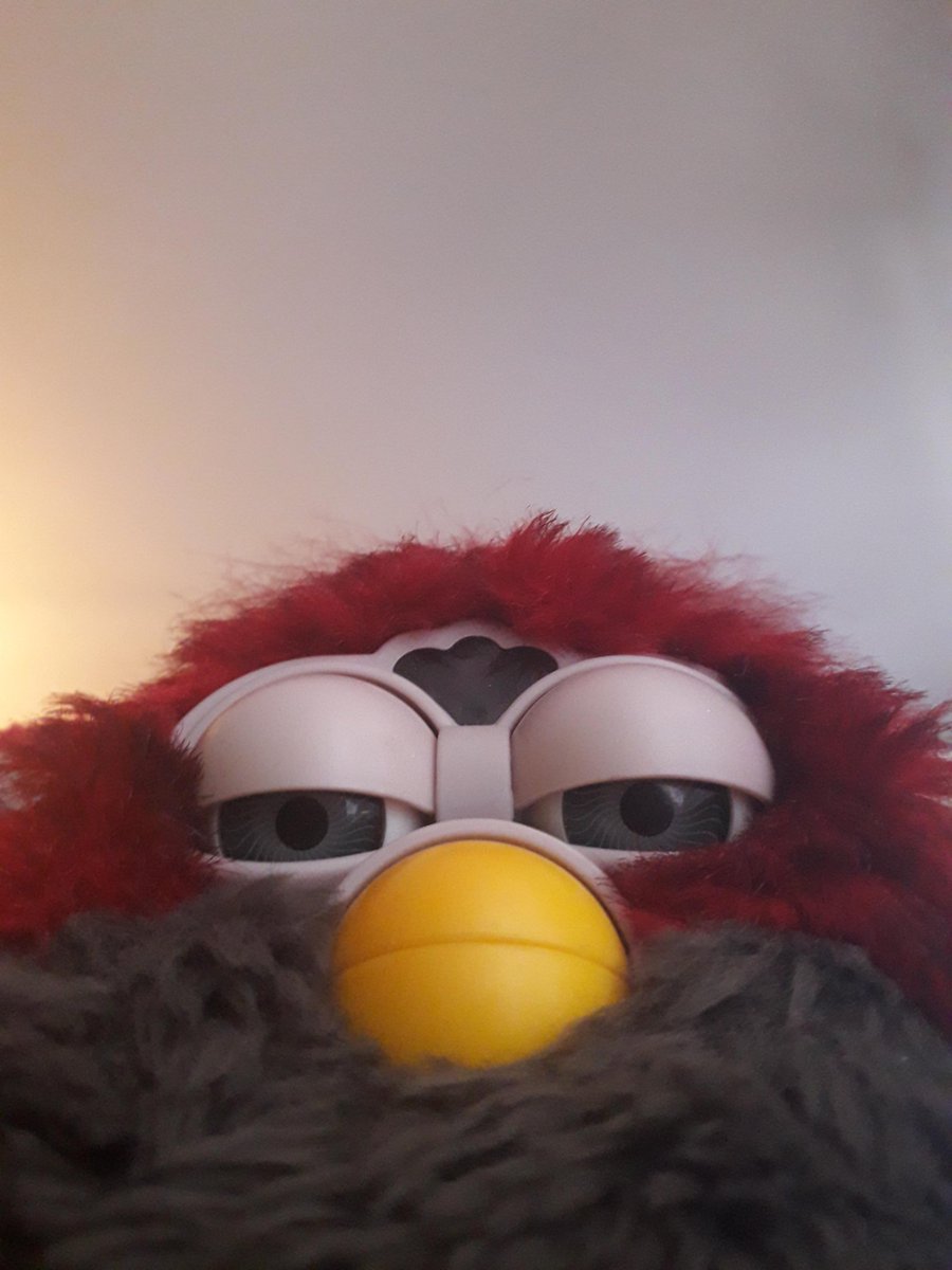 furbalicious555's tweet photo. I can't believe lue elizondo would steal my birthday thunder by dropping his book release date today #pissedoff #howCouldHe??! https://t.co/lzVoutVzfE