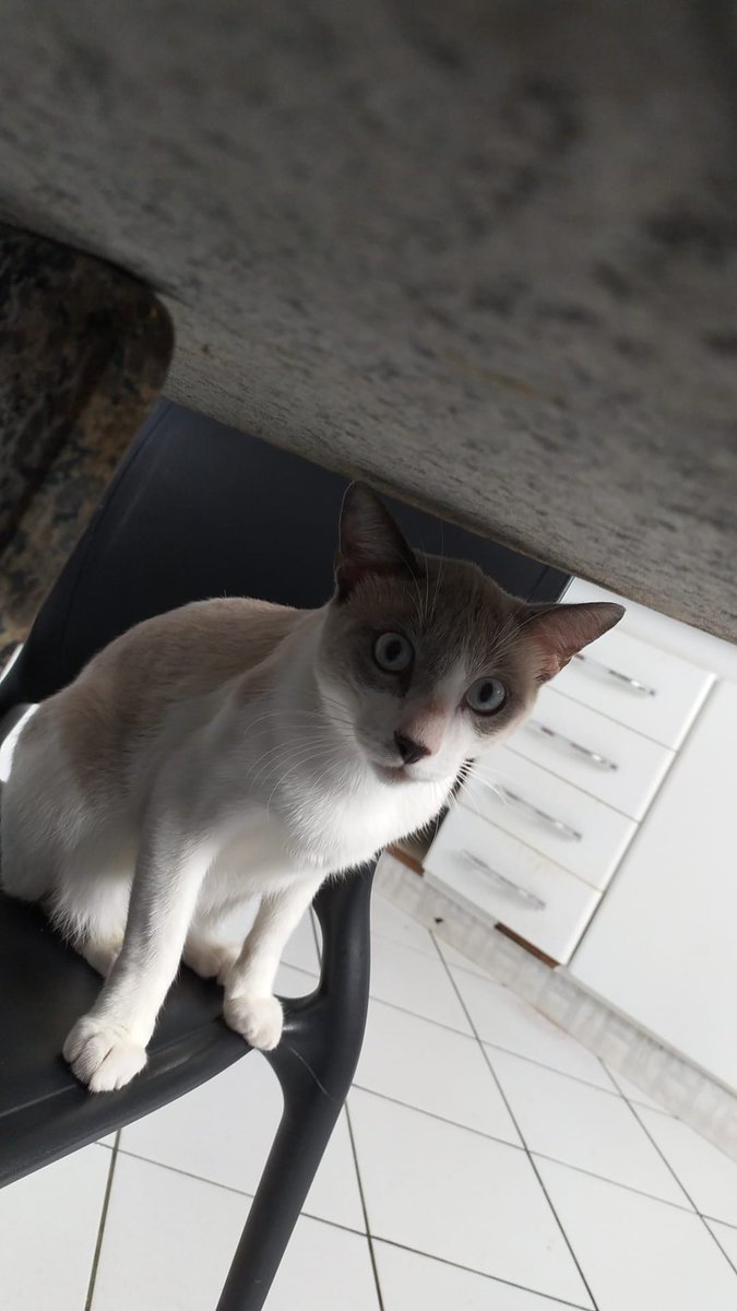 Boa tarde, com essa delícia da pró!😻
✅ Crossfit 07h
✅ Aula na turma aqui em casa 
✅ Aula particular 
E o dia ainda está longe de acabar...🫠