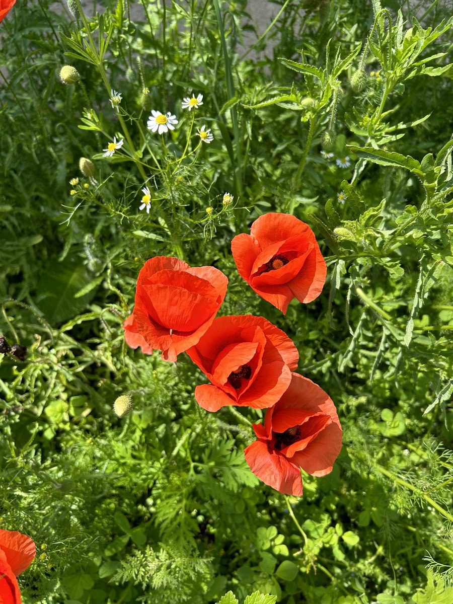 Viviamo solo per scoprire nuova bellezza. Tutto il resto è una forma d’attesa.