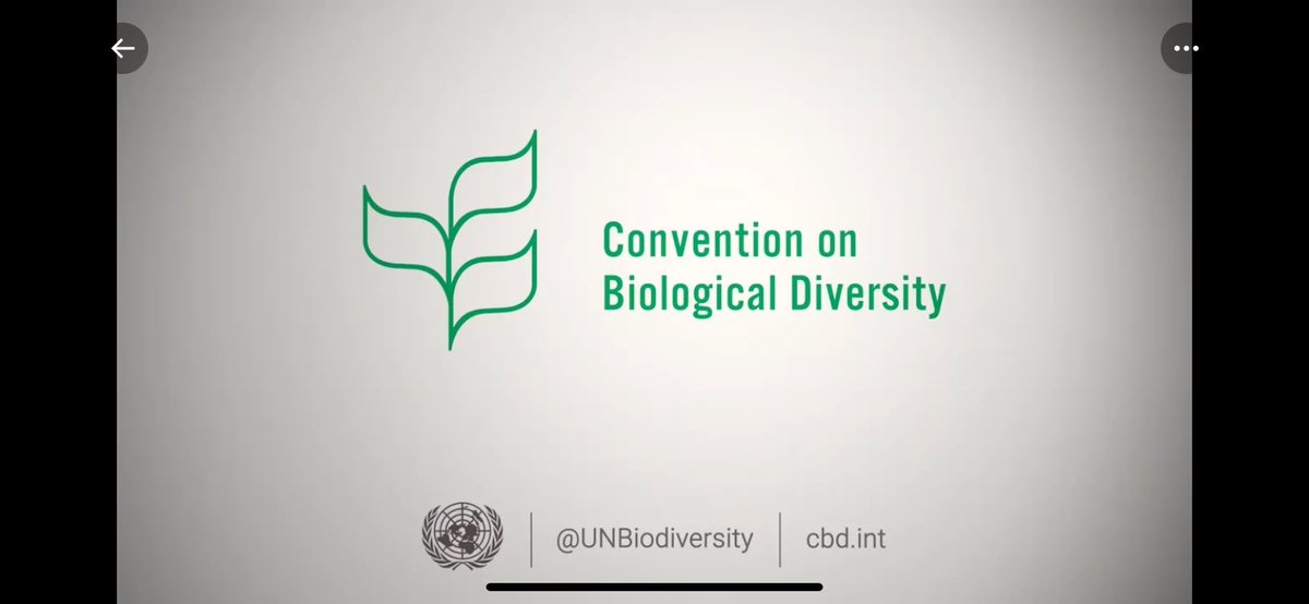 L6: Biodiversity 

Tomorrow is #BiodiversityDay
We will be asking how we can be #PartOfThePlan 
#ItAllStartsWithTheSeed 🌱