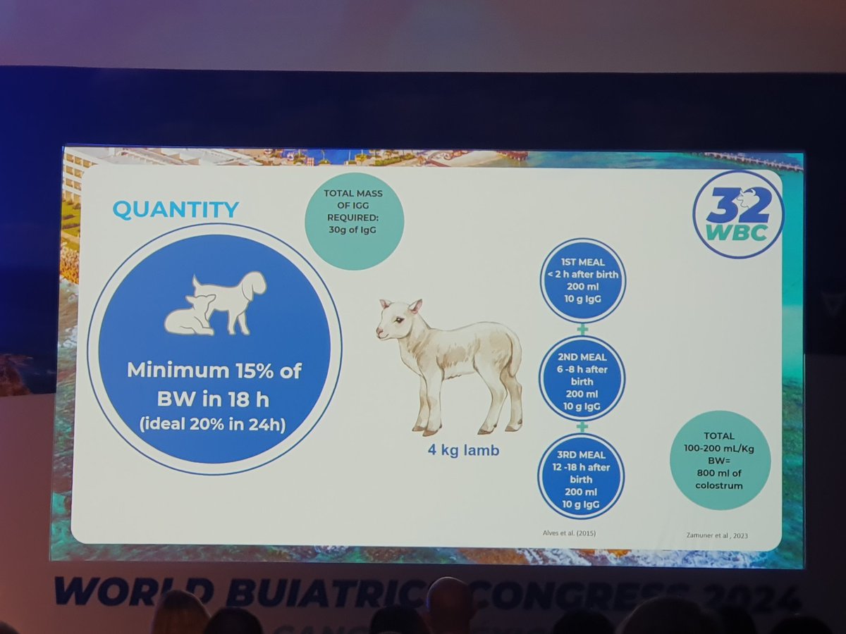 mattyarnall's tweet photo. Recommendation of minimum of 15% of bodyweight of colostrum in first 18 hours of life in lambs from Juliana Mergh Leao @wbc_congress #WBCMexico https://t.co/5XyXGoSwDe