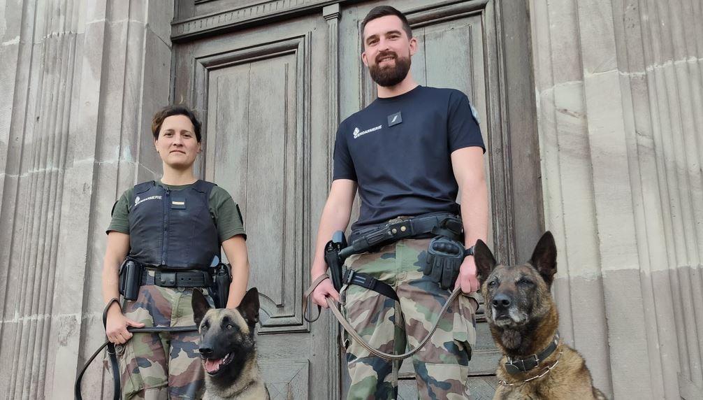 🐶 Vosges : un nouveau chien pour l’équipe cynophile de la gendarmerie de Saint-Dié. vosgesmatin.fr/faits-divers-j…