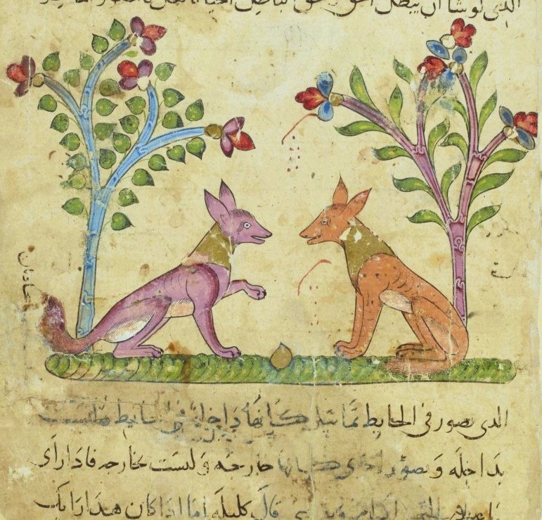 The Fables of Bidpai, or Panchatantra, have traveled the world morphing into Kalila wa Dimna, Aesop's Fables, and La Fontaine's verses along the way🐘✨ 
🎨from a 15c Arabic Kalila wa Dimna  #FairyTaleTuesday