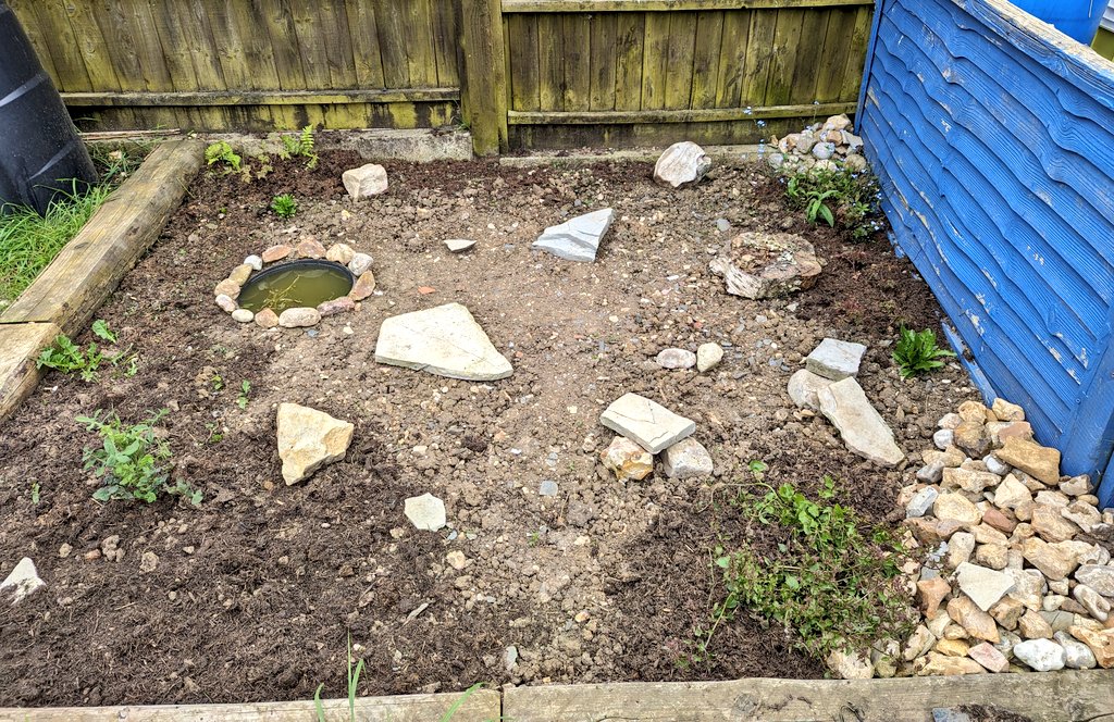 Very early days, there will be a lot more wild plants eventually and I'd like to get some big boulders and logs too if I can get good of some, but this is the start of my 'wild area'.

Slow worms and newts already like it.