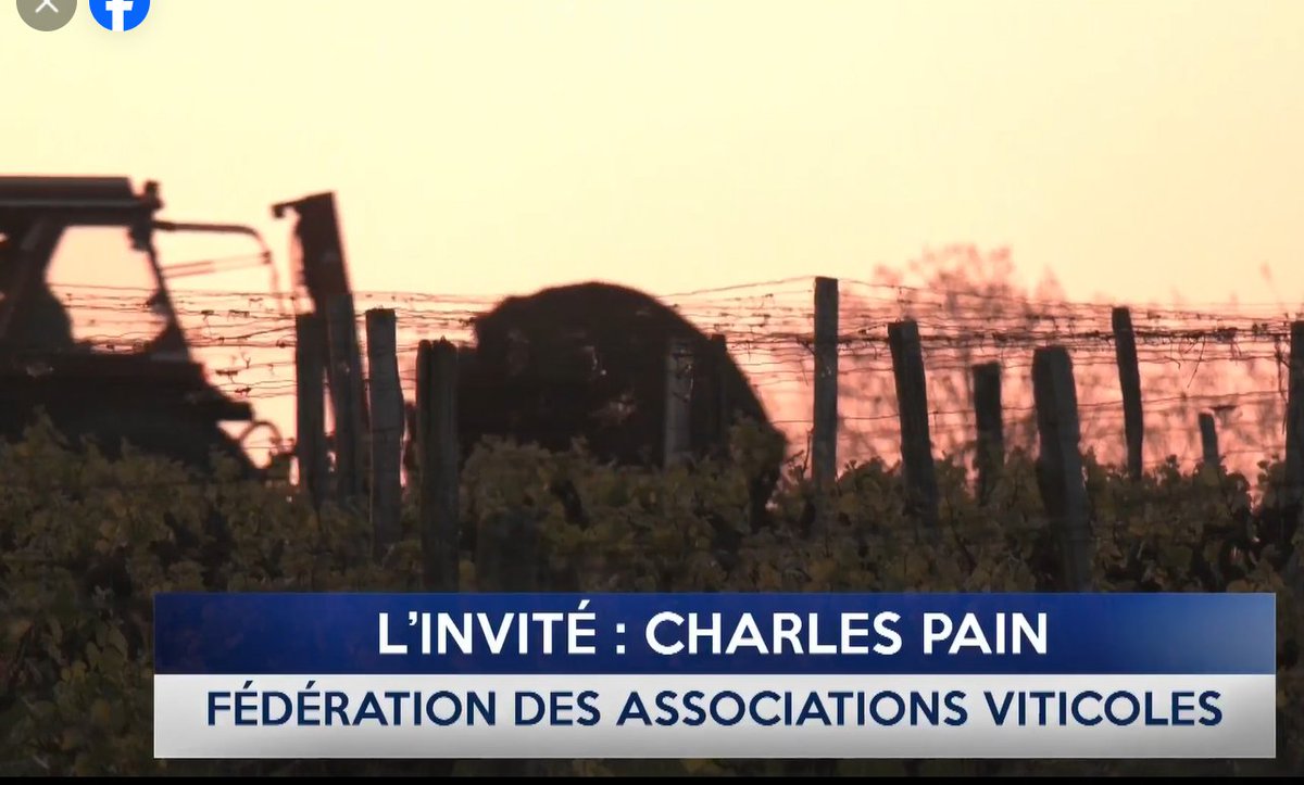 Charles PAIN, Président de la <a href="/fav3772/">fav 37</a> et Président-délégué de <a href="/LaCVVL/">Confédération des Vigneronnes & Vignerons de Loire</a> est l'invité du JT de @TVTOURS ce mardi à 18h45 pour évoquer les enjeux de l'élection européenne du 9 juin pour la #viticulture. cc <a href="/cnaoc/">CNAOC</a> <a href="/VINIGPofficiel/">VINIGP</a> <a href="/VinIGPLoire/">Vin IGP Val de Loire</a>