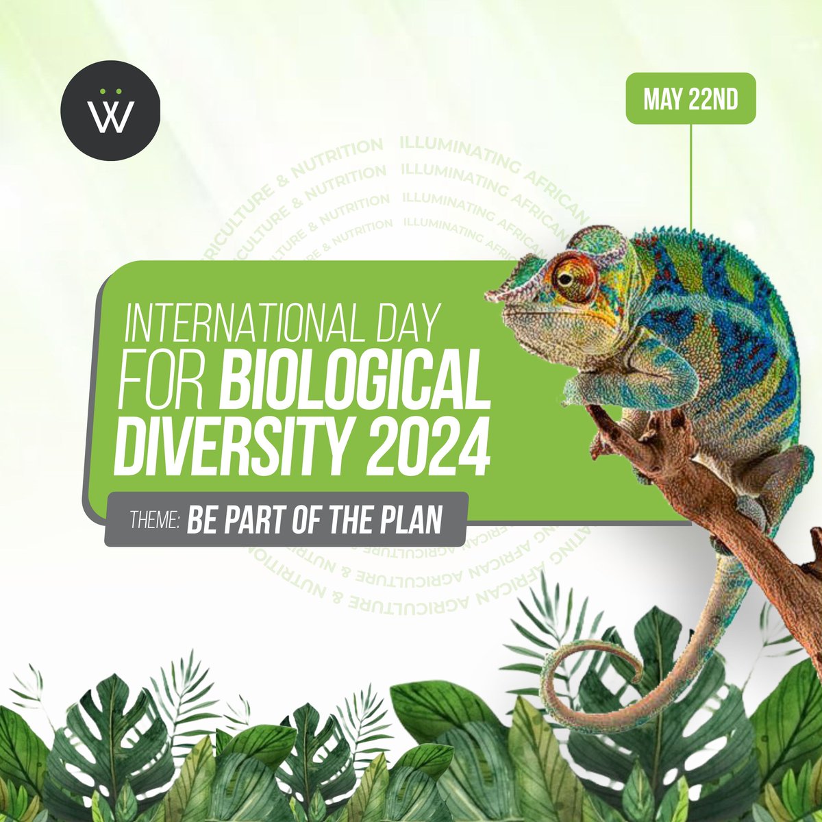 Happy #WorldBiologicalDiversity
Let us 'Be Part of the Plan' to protect our planet's biodiversity. Every small action counts: reduce, reuse, recycle, support conservation and make eco-friendly choices!

 #Wandieville #BePartOfThePlan #EcoFriendly #Biodiversity