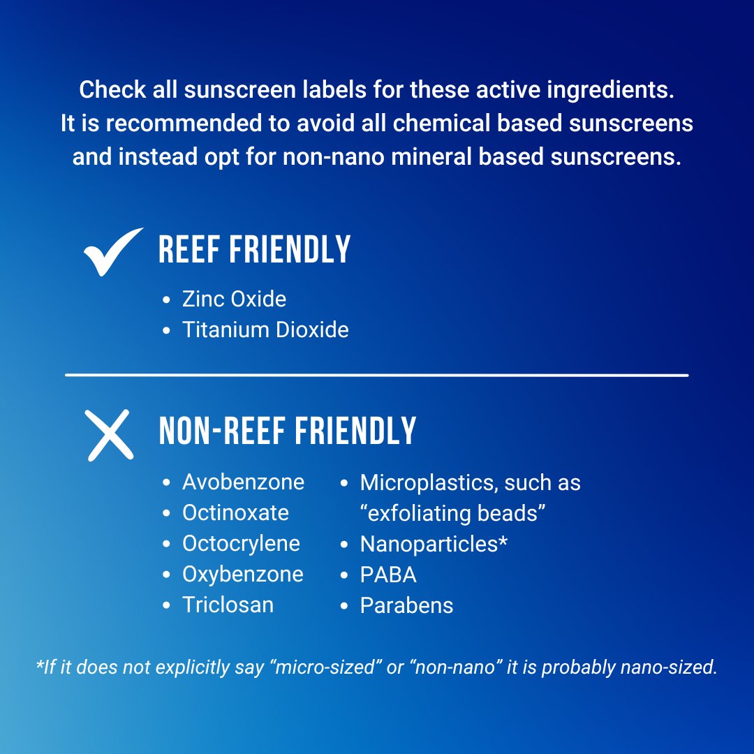 Reef Friendly Sunscreen Guide 🪸🌞 This summer, be sure to choose minerals over chemicals when it comes to sunscreen. Screenshot this post so you know exactly what to look for when you shop for sunscreen! Learn more: hubs.la/Q02xRs4s0 #ReefFriendly #ReefFriendlySunscreen