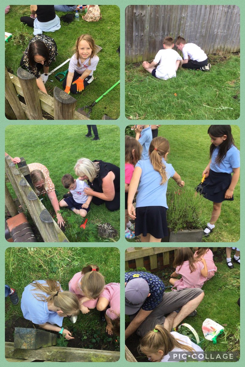 orrellnewfold's tweet image. Thank you to you all for making our Open Afternoon such a success in our ‘Heal the World’ week. Lots of learning inside and out! #globalcitizens 🌍🌸🌼🌳#newfoldsmsc