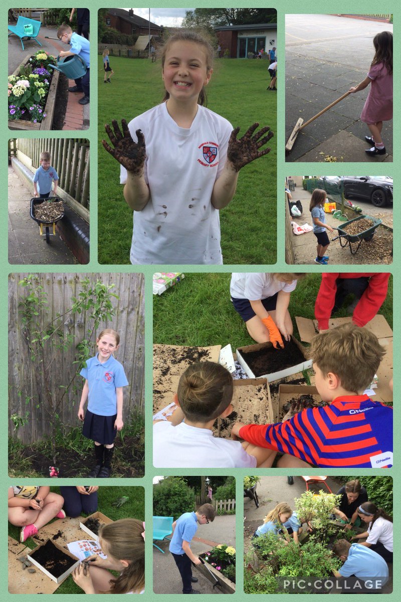 orrellnewfold's tweet image. Thank you to you all for making our Open Afternoon such a success in our ‘Heal the World’ week. Lots of learning inside and out! #globalcitizens 🌍🌸🌼🌳#newfoldsmsc