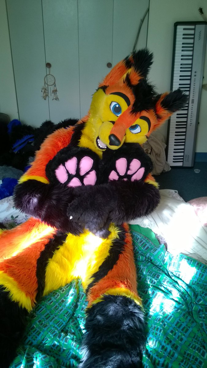 It turns out that I missed #PawDay yesterday. I guess every day is Paw Day when you're a Fox!? 🧡💛🖤🐾🐾🐾