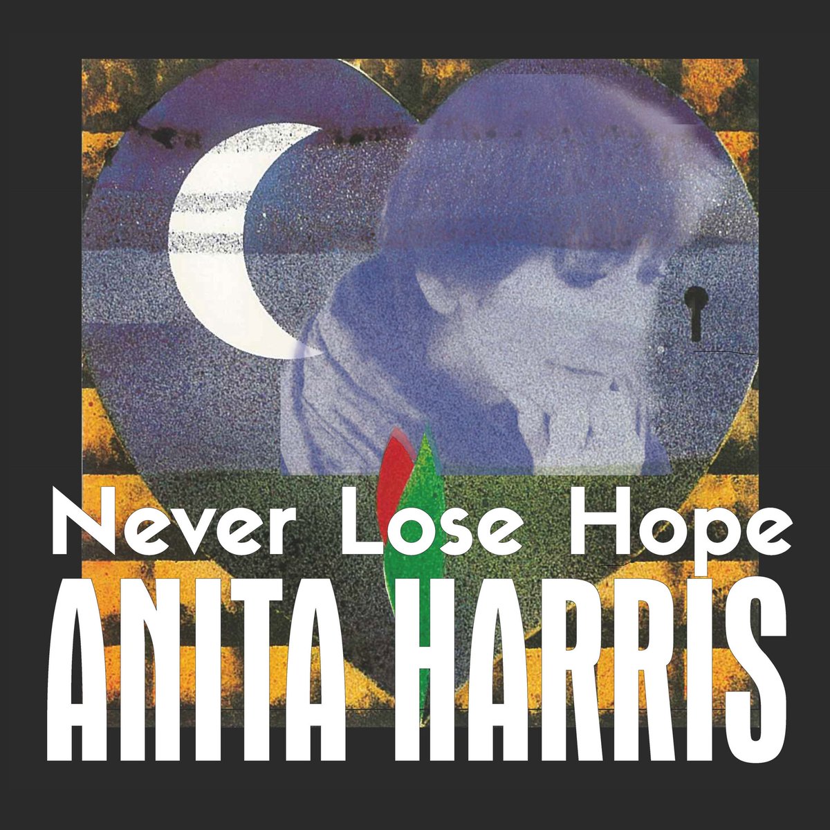 The legendary Anita Harris has written a beautiful and poignant tribute to her late husband, who sadly passed away from a long illness. 'Never Lose Hope’ is out this Friday 🤍

#peermusicUK #peermusic #peermusicAccorder #AnitaHarris #newmusic #redrocca #alzheimersUK