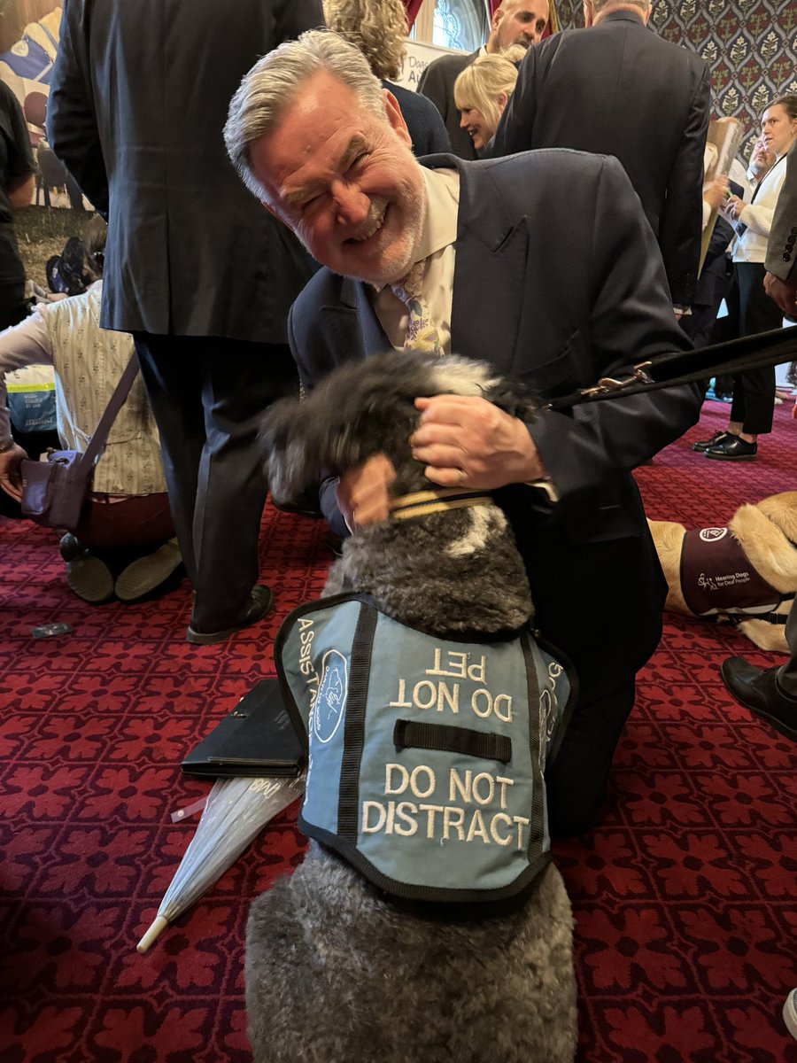 What a joy to meet Dillon! A gorgeous Autism Assistance Dog And it was him distracting me — honest! On a day when we have heard of the tragic death of a dog owner and the need to control potentially aggressive breeds, it’s important to remember the service of dogs like Dillon.
