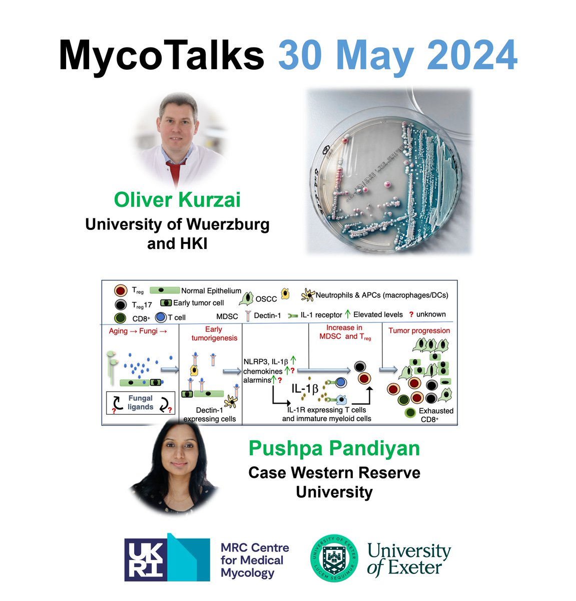 MRC Centre for Medical Mycology (@mrccmm) on Twitter photo Last chance to register for our next #MycoTalks with:
Oliver Kurzai <a href="/okurzai/">Oliver Kurzai</a> "Monitoring fungal invasions into Germany"
and
Pushpa Pandiyan <a href="/ProfPandiyan/">Pushpa Pandiyan</a> "Dectin signaling in HIV infections and oral cancer"
Register here: us02web.zoom.us/webinar/regist… Last chance to register for our next #MycoTalks with:
Oliver Kurzai <a href="/okurzai/">Oliver Kurzai</a> "Monitoring fungal invasions into Germany"
and
Pushpa Pandiyan <a href="/ProfPandiyan/">Pushpa Pandiyan</a> "Dectin signaling in HIV infections and oral cancer"
Register here: us02web.zoom.us/webinar/regist…