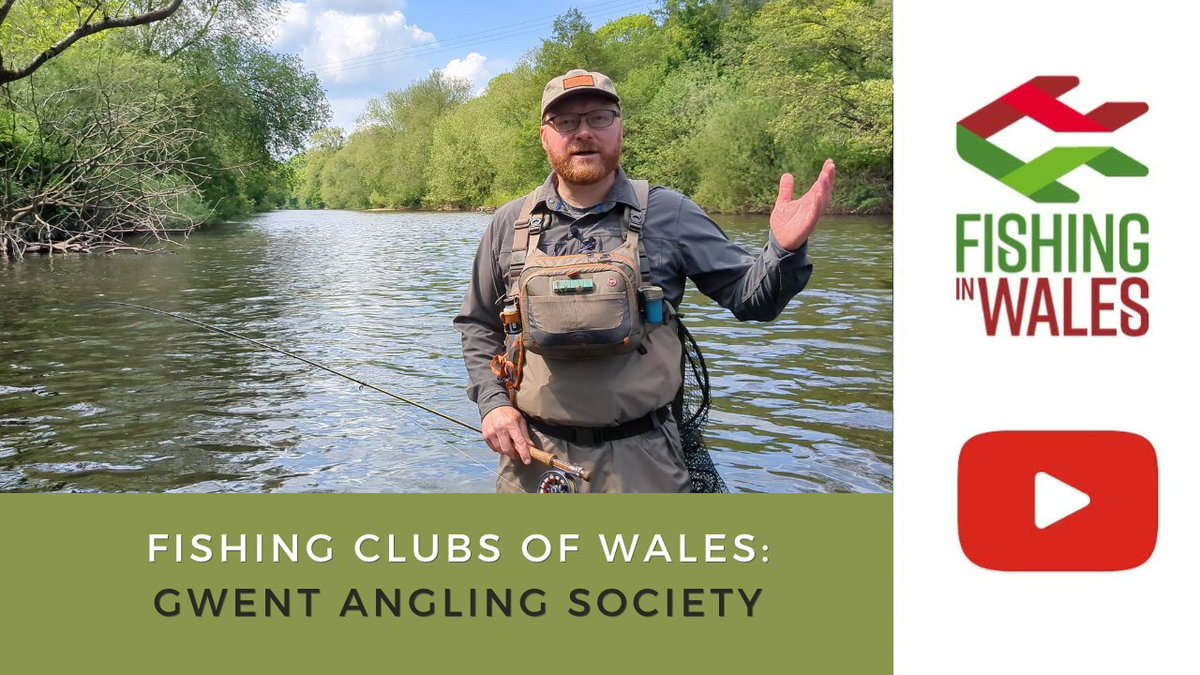 WalesFishing's tweet photo. NEW VIDEO: Gwent Angling Society

We join Lee Evans, Chair of Gwent Angling Society, on the river Usk at Gilwern. Lee shares information about the club &amp; then enjoys some dry fly fishing, during a hatch of Yellow May.

https://t.co/iSkDiNtQzJ

#fishinginwales @AnglingGwent https://t.co/9qAnV3MWZc