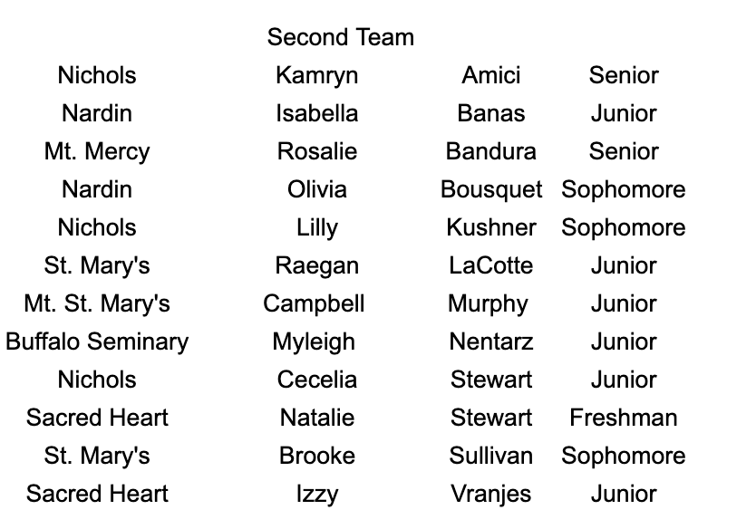 Congratulations to the MMHSAA Girls Lacrosse All Catholic Teams!