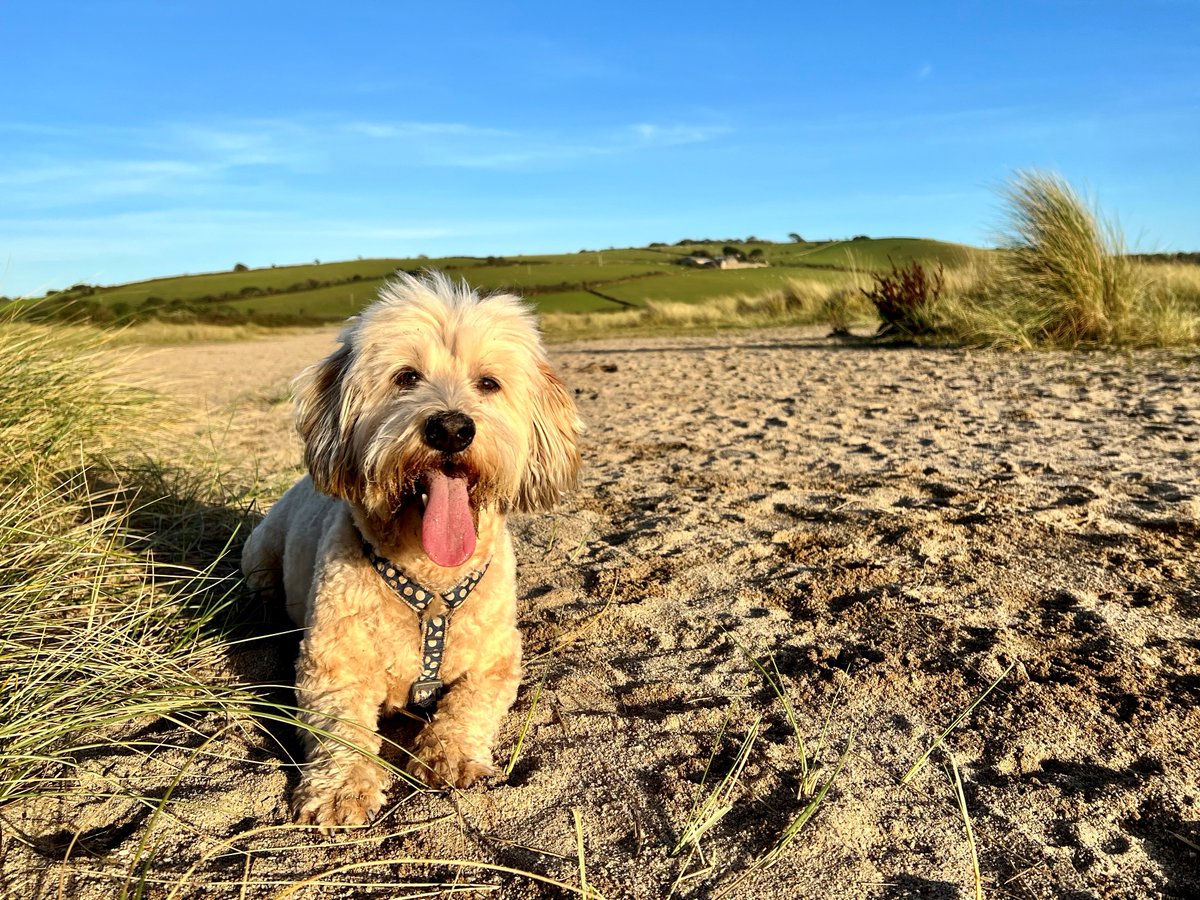 The perfect location to enjoy the stunning Cornish coast 🌊☀️

📍 Par Sands Coastal Holiday Park