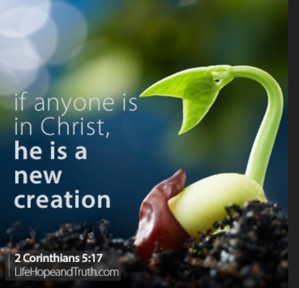New life in Christ- Jesus makes each day like spring!