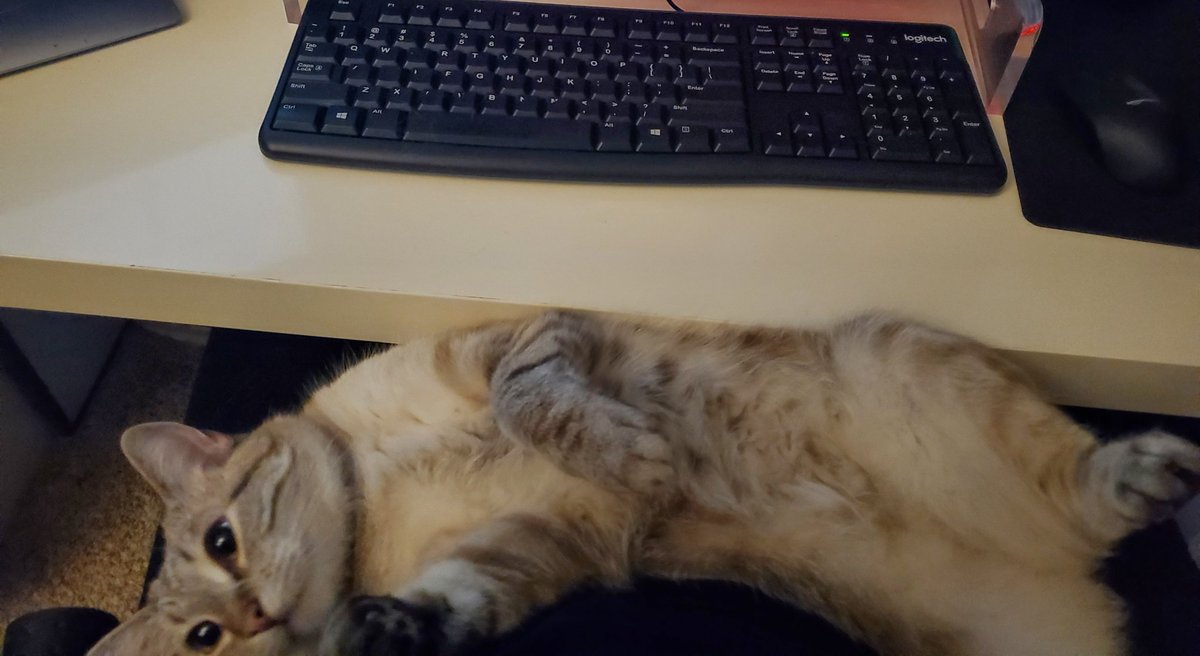 She doesn't want me to work...

#Writing