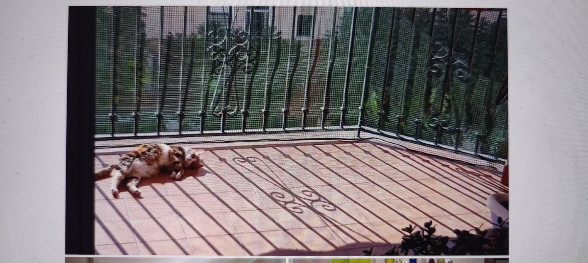 Al jaren kijk ik op de makelaars sites in Spanje. Daar is nog veel werk te verrichten.... Zie hier de eerste foto van een appartement dat te koop is in Malaga 🤪
