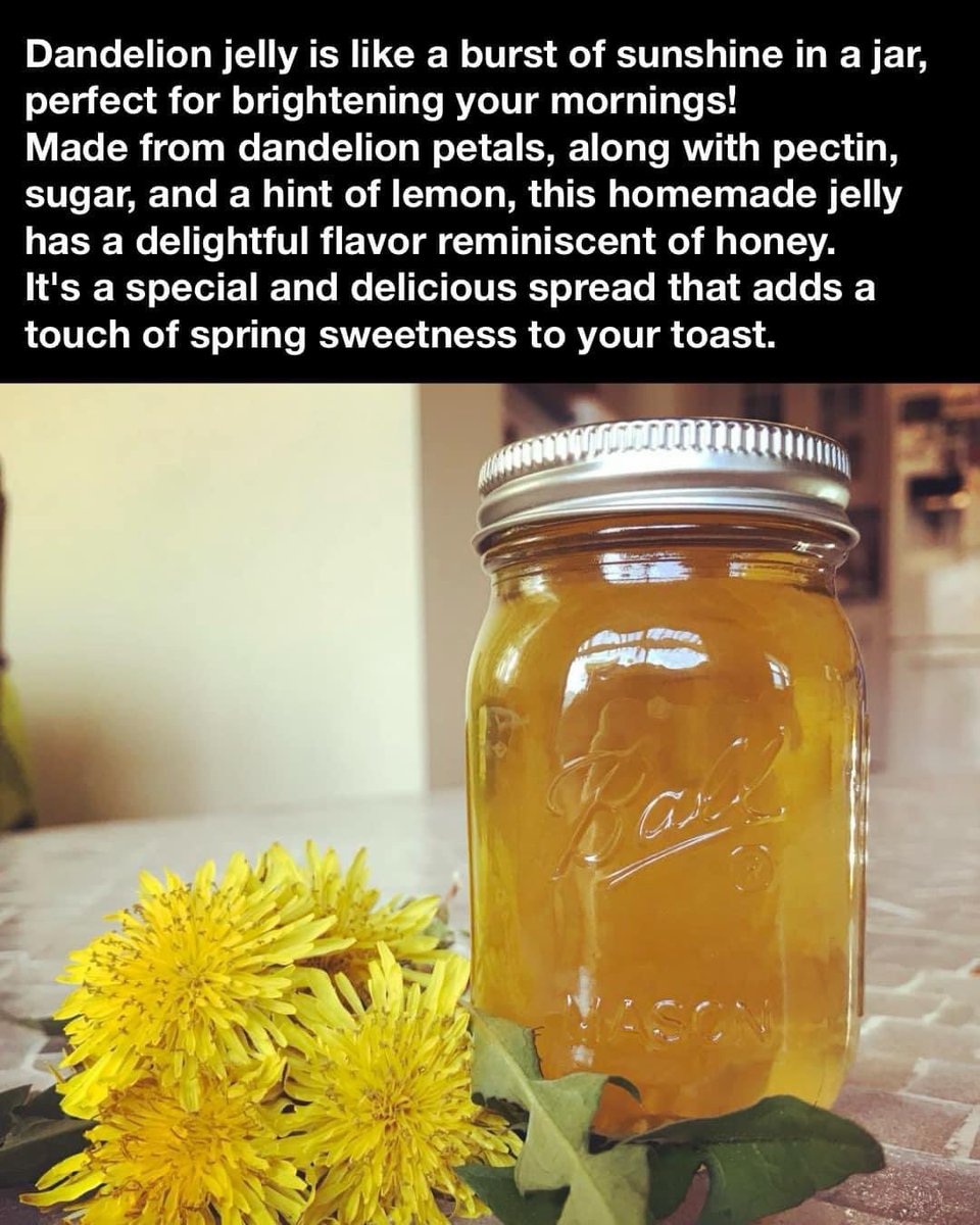 ☀️🌼 Embrace the sunshine in a jar with dandelion jelly! 🌼☀️ Made from dandelion petals, pectin, sugar, & a splash of lemon, this homemade delicacy brings a burst of spring to your mornings. 🍯✨ #DandelionJelly #Homemade #SpringFlavors #DemeterEarth #FeedTheSoilHarvestTheFuture