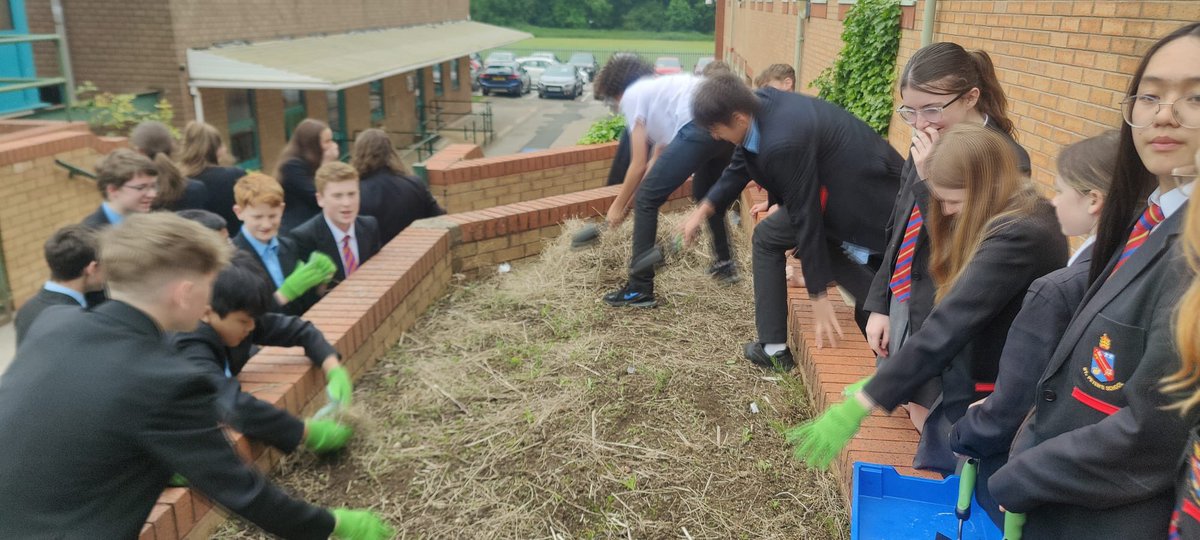 We are celebrating Laudato Si’ Week in science this week. This encyclical from @Pontifex called for us to care for our common home 🌍🙏🏽 Today, year 8 planted a wildflower bed to improve biodiversity in our school @StPetersSch