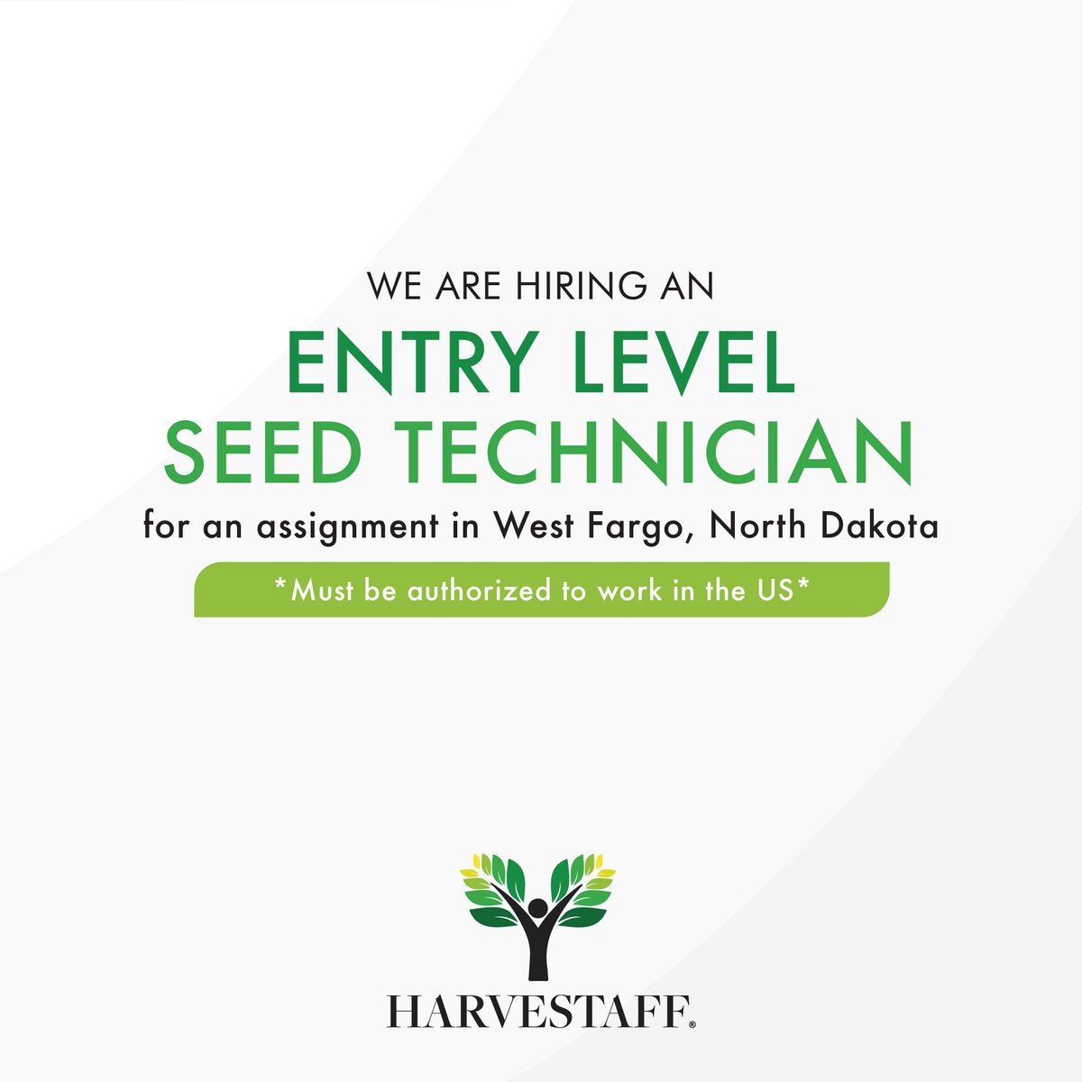 We are hiring an Entry Level Seed Technician for an assignment in West Fargo, North Dakota, to apply and for more information please visit the following link:

job.harvestaff.com/41754_Seed_Tech

#SeedTechnician #NorthDakota #Job #Jobs #HiringNow #JobAlert #Hiring #Vacancy