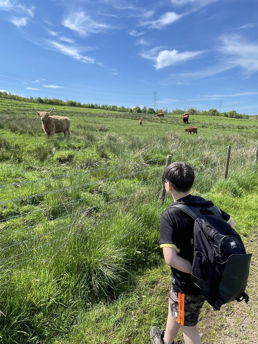 Another brilliant environment discovered. Literally minutes from my learners school, the grasslands at #glenifferbraes are just superb for flora and bird life. Easy to ascend and the views across the Clyde valley are just amazing. Brilliant day out @BlairvadachOEC @StBernardsPS
