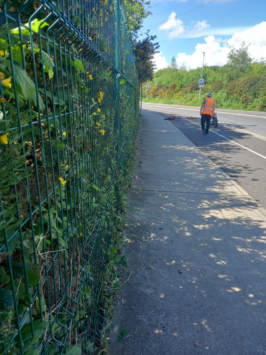 The Gorey Tidy Towns Tus and CE Scheme workers have been doing Trojan work over the past week, keeping the paths around town clear of unwanted growth. Great job lads.
