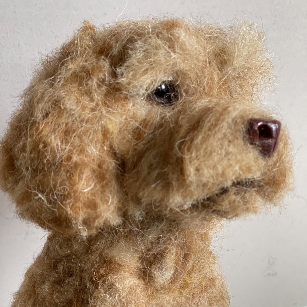 A needle felted Labradoodle!