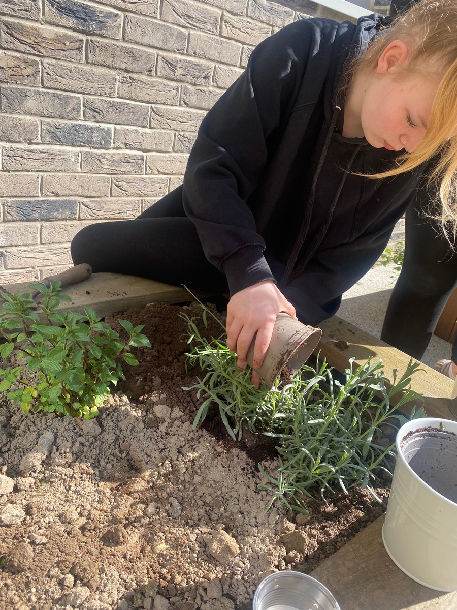 Enjoying another lovely morning in the sunshine planting our herbs and flowers 🌸 🌺  
@PrincesTrustSco <a href="/ScotAsnNurture/">Scottish ASN/Nurture Teachers</a>
 #vitaminD #wellbeing #nurture
<a href="/BoclairAcademy/">Boclair Academy</a>