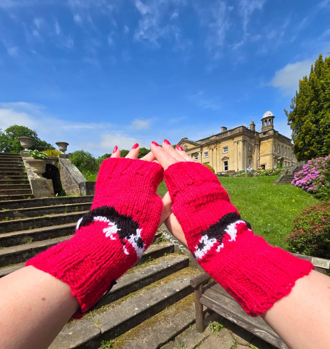 I love this photo my daughter took of my knitted Collie Dog wristwarmers ❤️