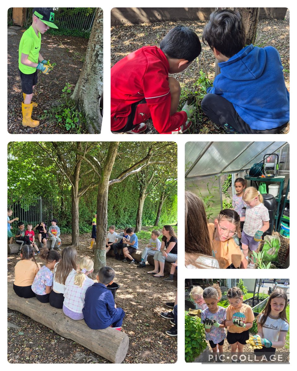 Great time working extremely hard, maintaining our edible playground. 
<a href="/TreesforCities/">Trees for Cities</a> <a href="/CdfHealthySch/">Cardiff Health Promoting Schools</a> 
@coedglas2027 
Sorting, watering, weeding, 
Finding new friends 🐌 🐌 🐌 
Rearranging the log circle, which required lots of team work, communication and listening.