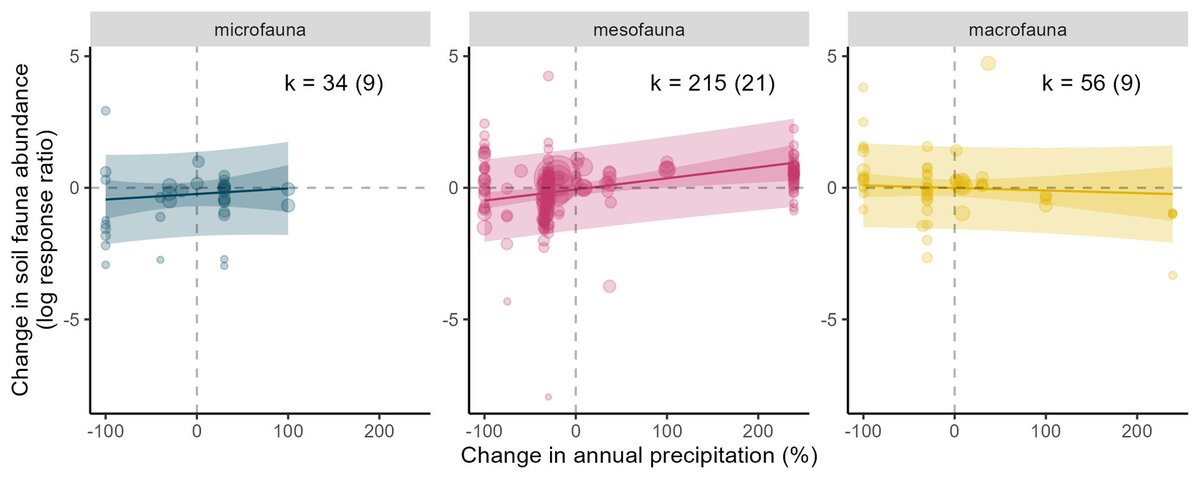 Global Change Biology (@globalchangebio) on Twitter photo || NEW RESEARCH ||
Meta-analysis reveals that the effects of precipitation change on soil and litter fauna in forests depend on body size
📄 onlinelibrary.wiley.com/doi/abs/10.111…
<a href="/_PhilMartin/">Phil Martin</a> @Don_Curiel <a href="/BC3Research/">BC3 - Basque Centre for Climate Change</a> <a href="/holisoils/">HoliSoils Project 🇪🇺</a> @BecksSpake <a href="/CharlotteBiryol/">Charlotte Biryol</a> <a href="/MenivalClaire/">Claire Ménival</a> <a href="/MathieuSantonja/">Mathieu Santonja</a> || NEW RESEARCH ||
Meta-analysis reveals that the effects of precipitation change on soil and litter fauna in forests depend on body size
📄 onlinelibrary.wiley.com/doi/abs/10.111…
<a href="/_PhilMartin/">Phil Martin</a> @Don_Curiel <a href="/BC3Research/">BC3 - Basque Centre for Climate Change</a> <a href="/holisoils/">HoliSoils Project 🇪🇺</a> @BecksSpake <a href="/CharlotteBiryol/">Charlotte Biryol</a> <a href="/MenivalClaire/">Claire Ménival</a> <a href="/MathieuSantonja/">Mathieu Santonja</a>