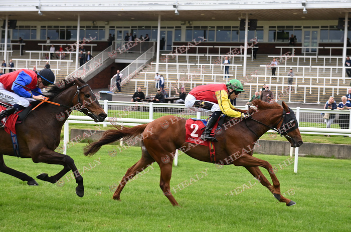 🐎 @corkracecourse 21-May-2024 Gerrit's Gem and @MccullaghScott win for owner Gerrit O'Reilly and trainer Kieran Cotter. (c)healyracing.ie