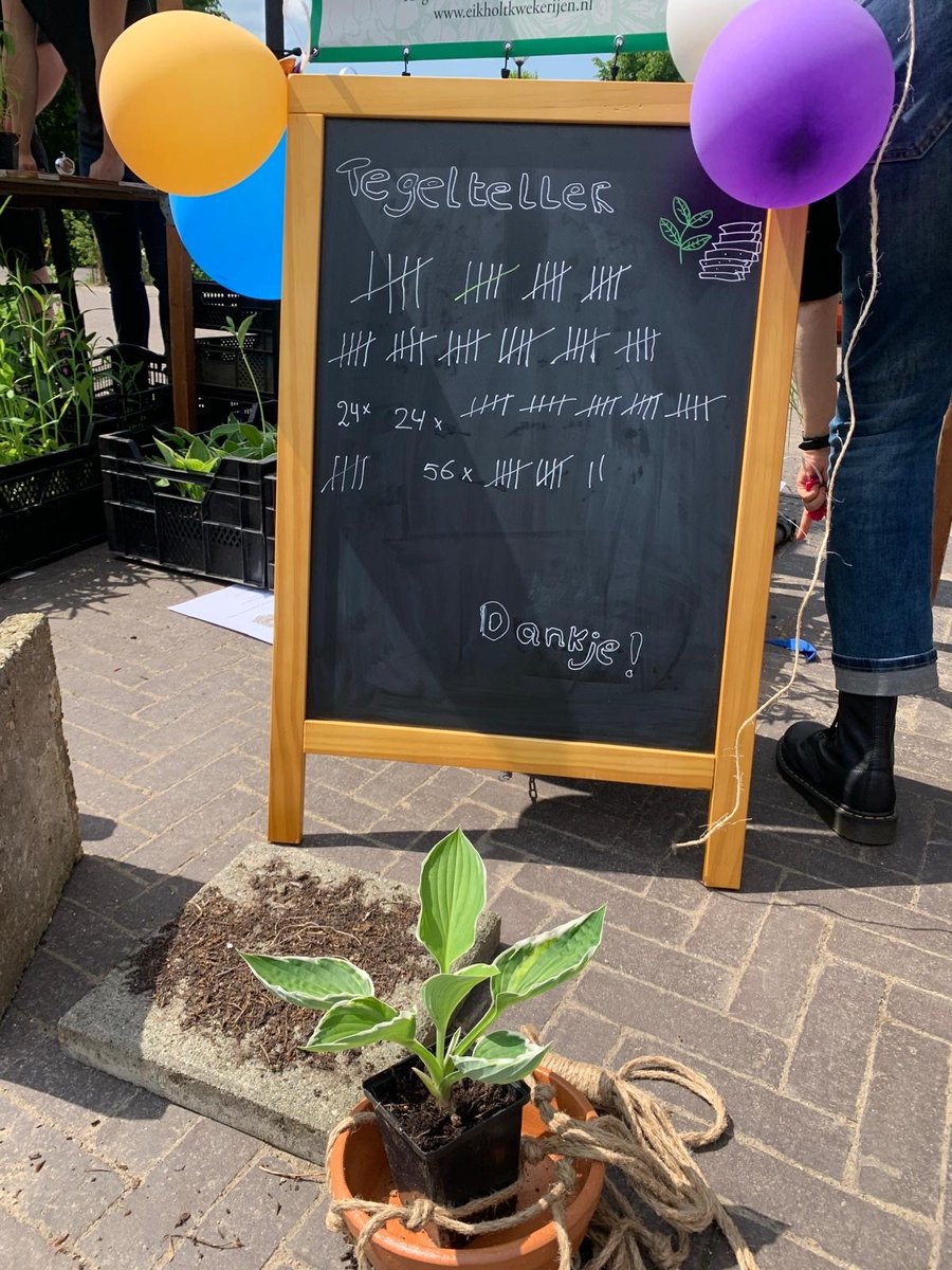 wsrivierenland's tweet image. 💧 230.000 ltr extra water in de bodem 💧 Het vernieuwde Kerkplein in Breedeweg is zaterdag geopend en officieel in gebruik genomen. Het plein bestond vooral stenen. Dat is nu veranderd. 15.000 tegels hebben plaatst gemaakt: bergendal.nl/opening-vernie…
 #watdoenwij