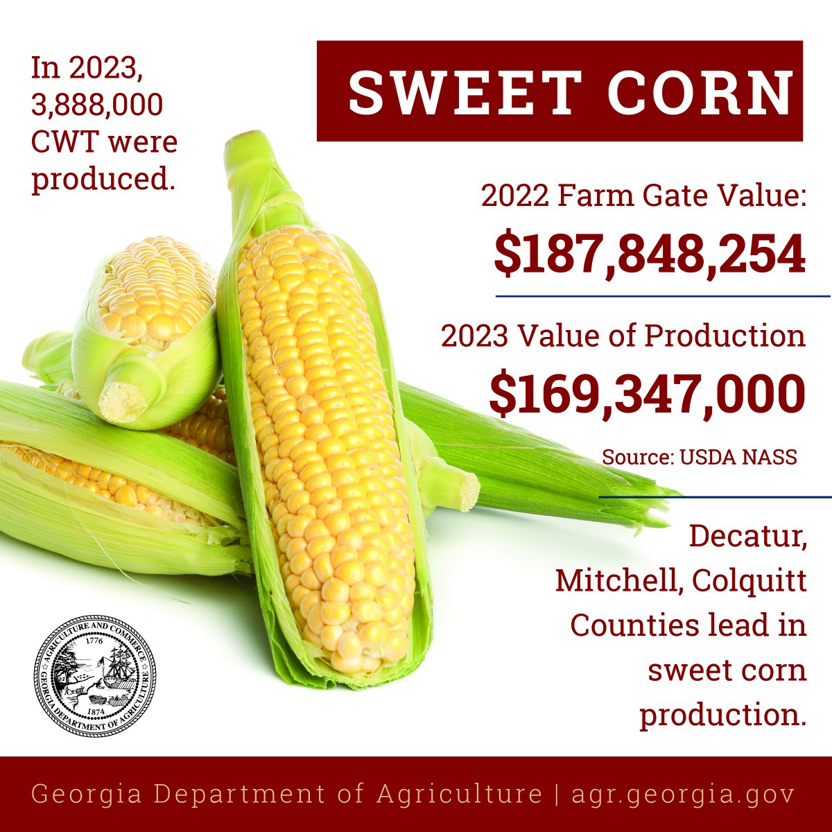 Georgia's sweet corn is the cream of the crop! 🌽 With a Farm Gate Value of $187,848,254 in 2022, it's no wonder it ranks #1 among veggies. In 2023, 3,888,000 CWT were harvested, with a value of $169,347,000.