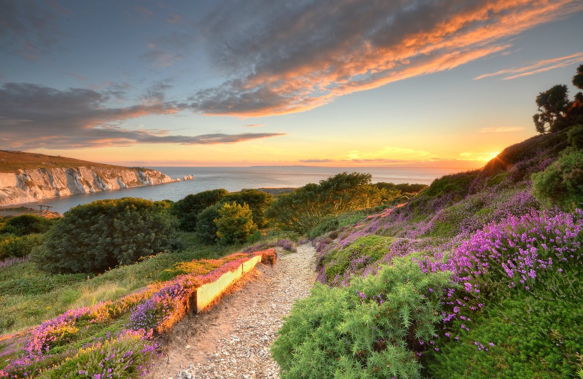 After a sun-filled day on the #IsleofWight, don't miss the opportunity to witness a spectacular sunset. Head west to Compton Bay, @ntisleofwight's Headon Warren or Totland Bay to watch the sky transform into a canvas of pinks and oranges.😍 Where's your go-to #IOW sunset spot?🤔