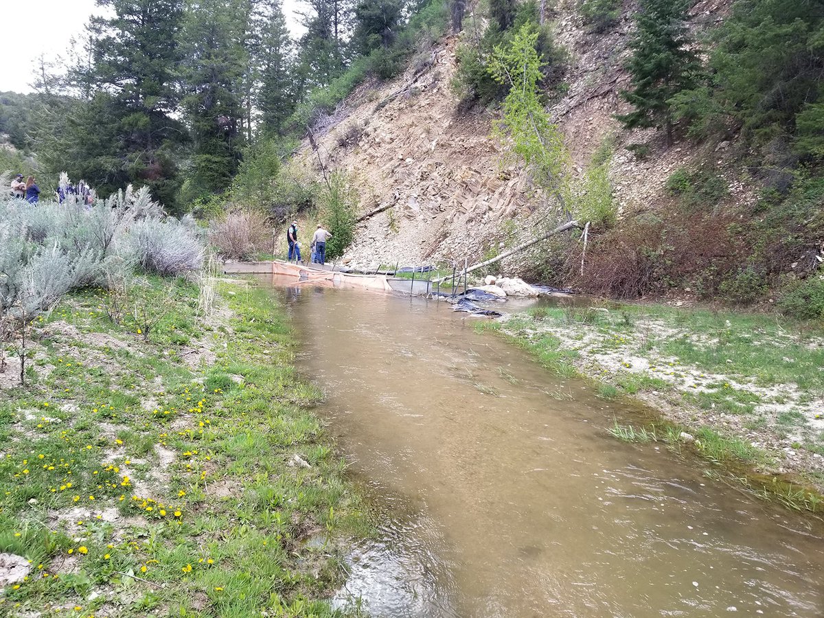 Colorado River District tweet media