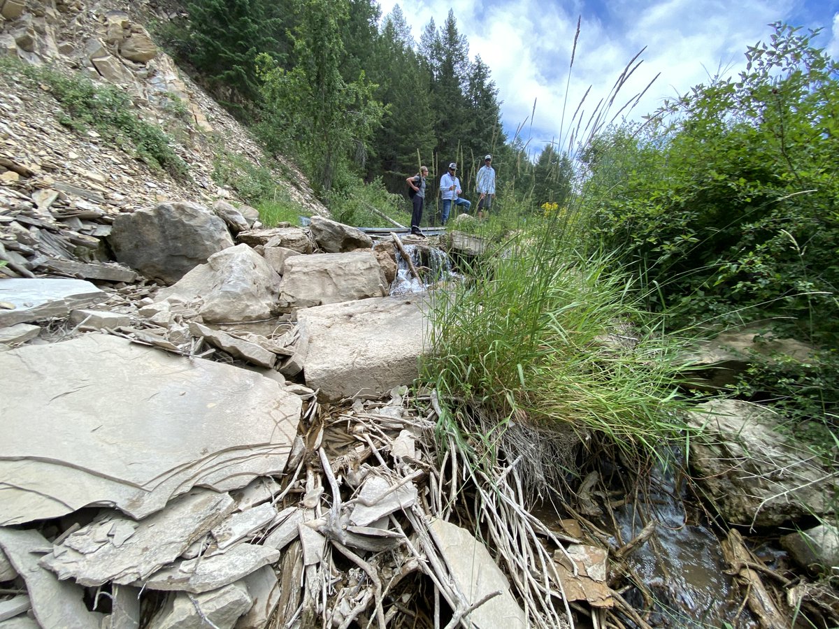 Colorado River District tweet media