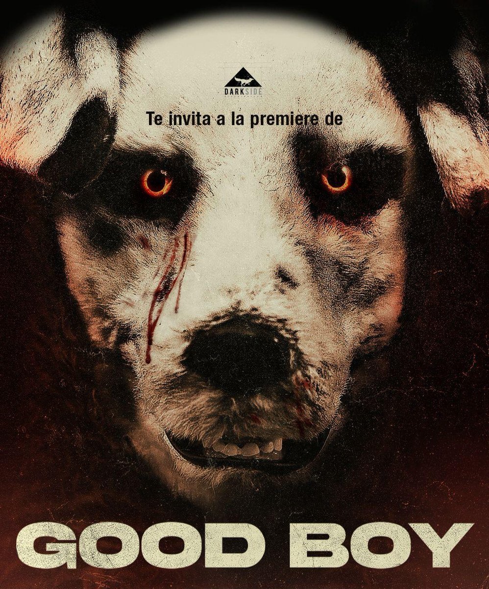 MovieCrazyP's tweet photo. 🎬 🚨 DINÁMICA 🚨🎬

Gracias a nuestros amigos de Dark Side Distribution tenemos pases para la premiere de #GoodBoy para este miércoles.

Like y RT
Tú y tu acompañante deben seguirnos y a @mx_darkside
Comenta algún estreno de Dark Side Distribution usando #DarkSideMeInvitaAlCine https://t.co/q1L1vFPRRm
