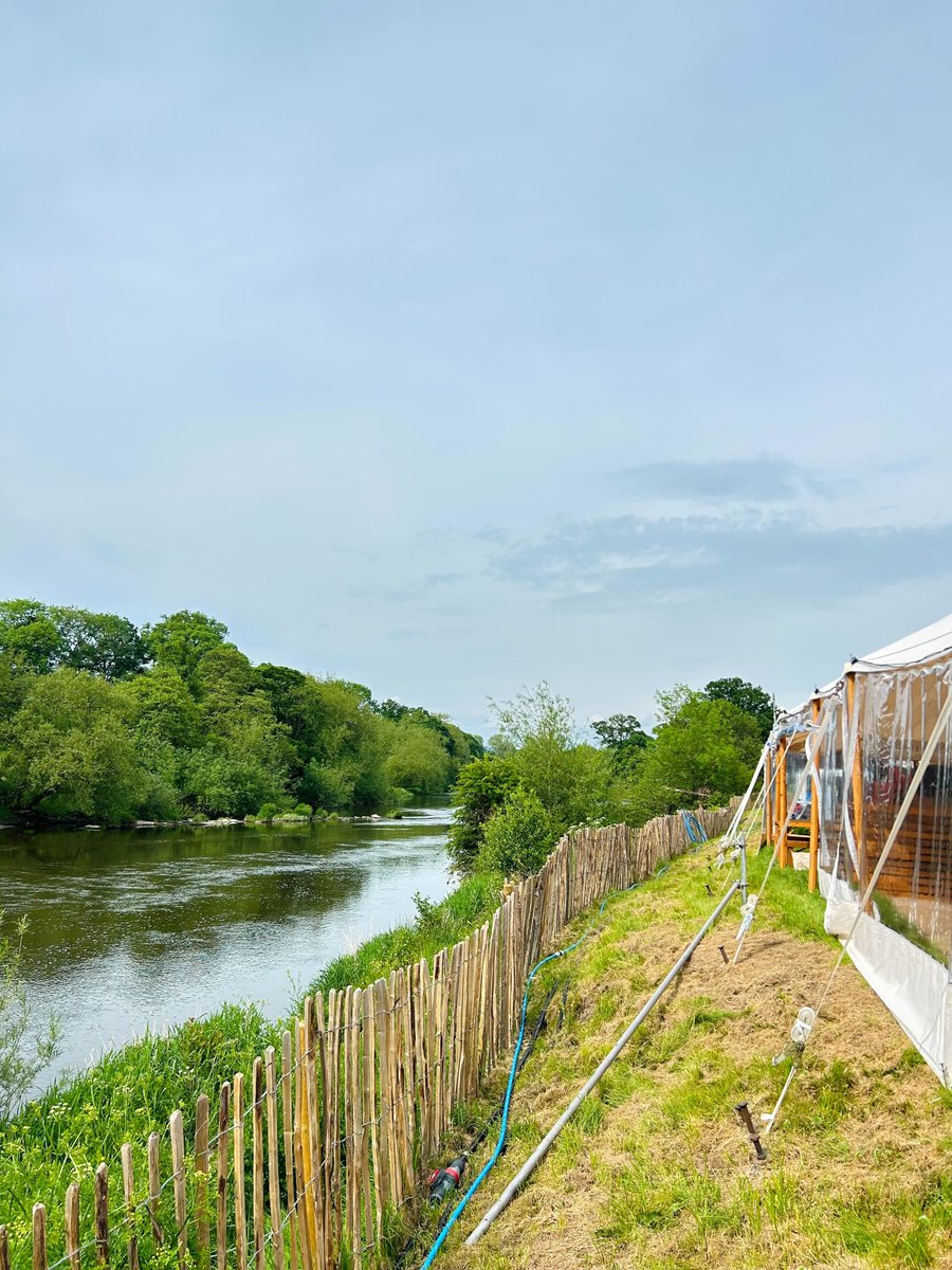 🎪🌞 The festival is shaping up beautifully and will soon be ready to welcome everyone! With only a handful of weekend tickets remaining, now is the perfect time to book if you haven't done so already. howthelightgetsin.org/festivals/hay/…