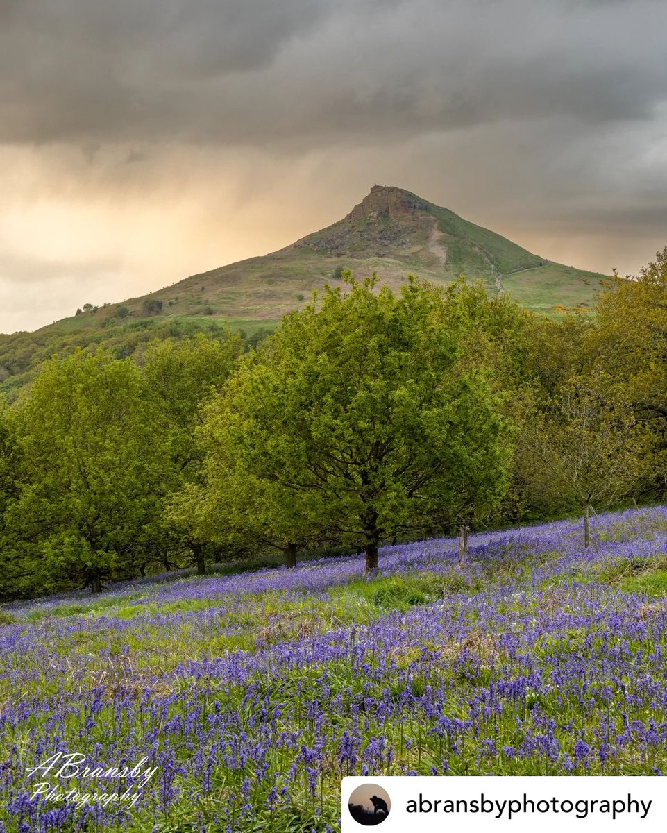 Blooming Bluebells and bleak moody skies on this night at Roseberry which turned out to be a very changeable night last year. We saw golden light, rain and even a rainbow. I always think a moody sky helps make those spring vibrant colours really pop and this one's no exception.