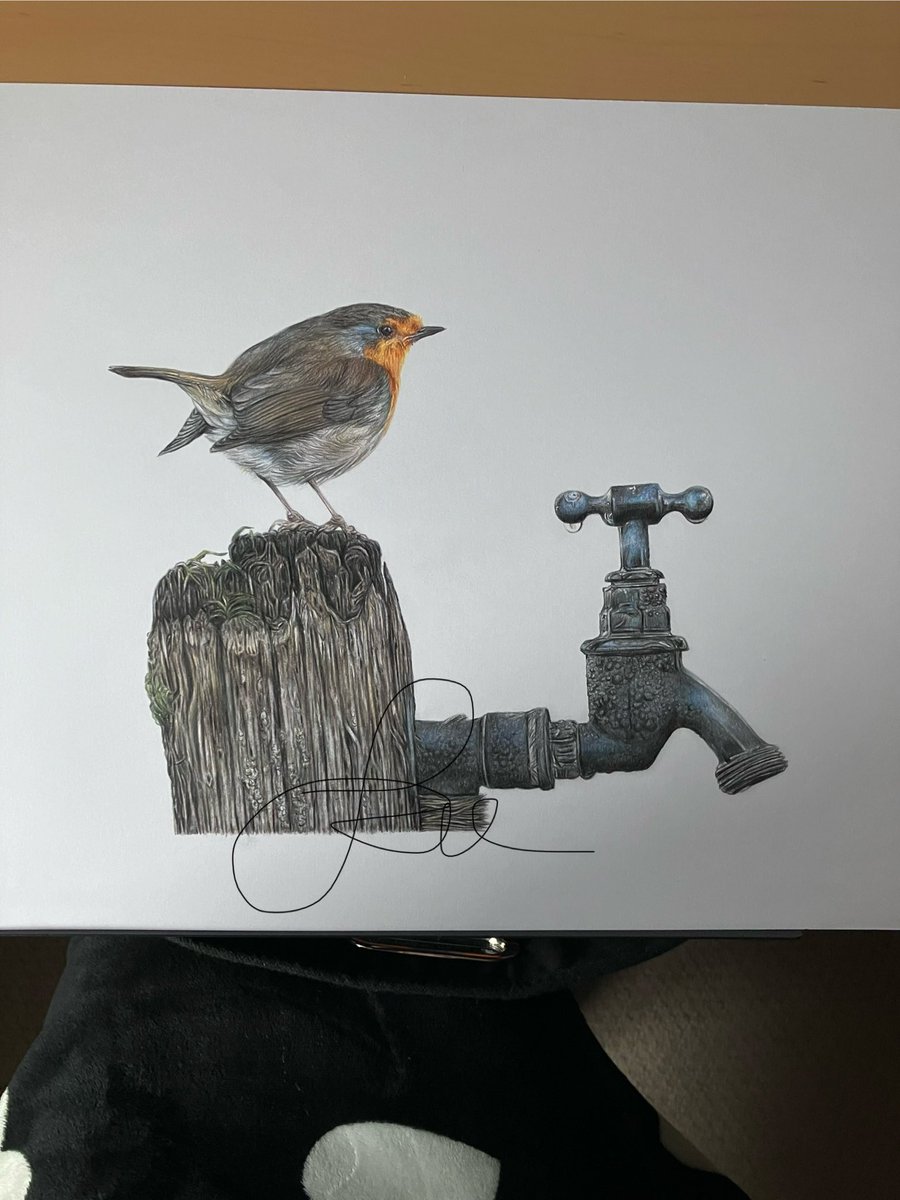 Some final tweaks and I think I’m almost done. #art #drawing #robin