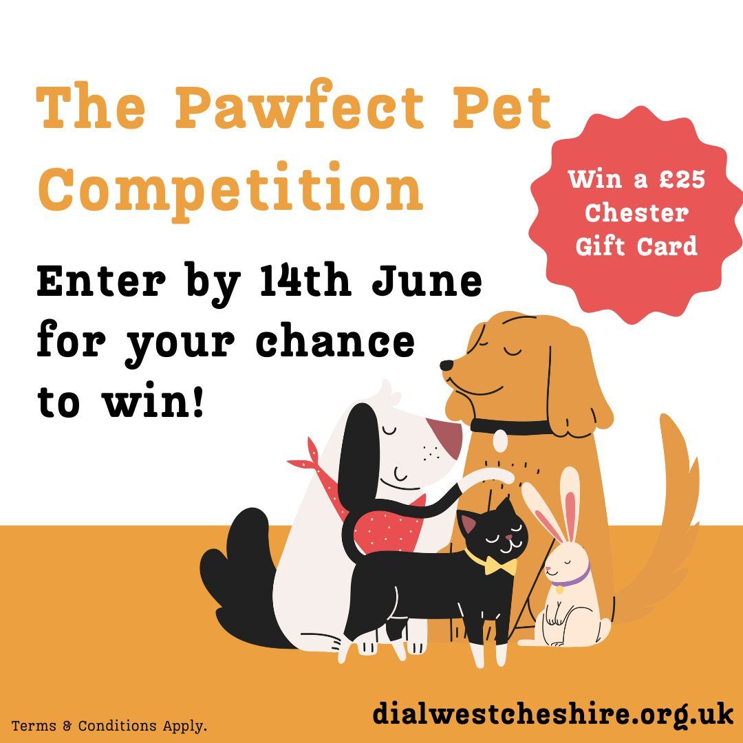 We are looking for the Pawfect Pets, past or present, to take part in our virtual Pet Show. £3 per entry and all proceeds go to Dial West Cheshire, improving the lives of disabled people. 👉 Find out more and enter: buff.ly/4a4Nkiv @ShitChester @ChesterTweets