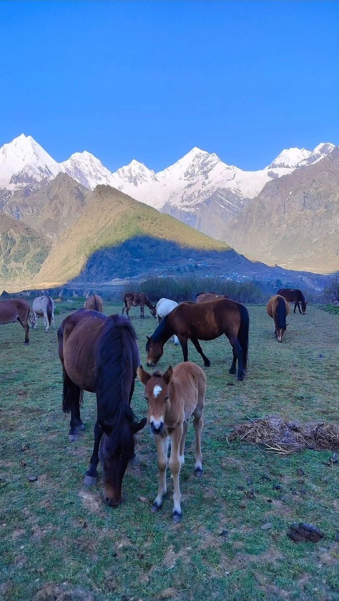 Panchachuli & Darma valley