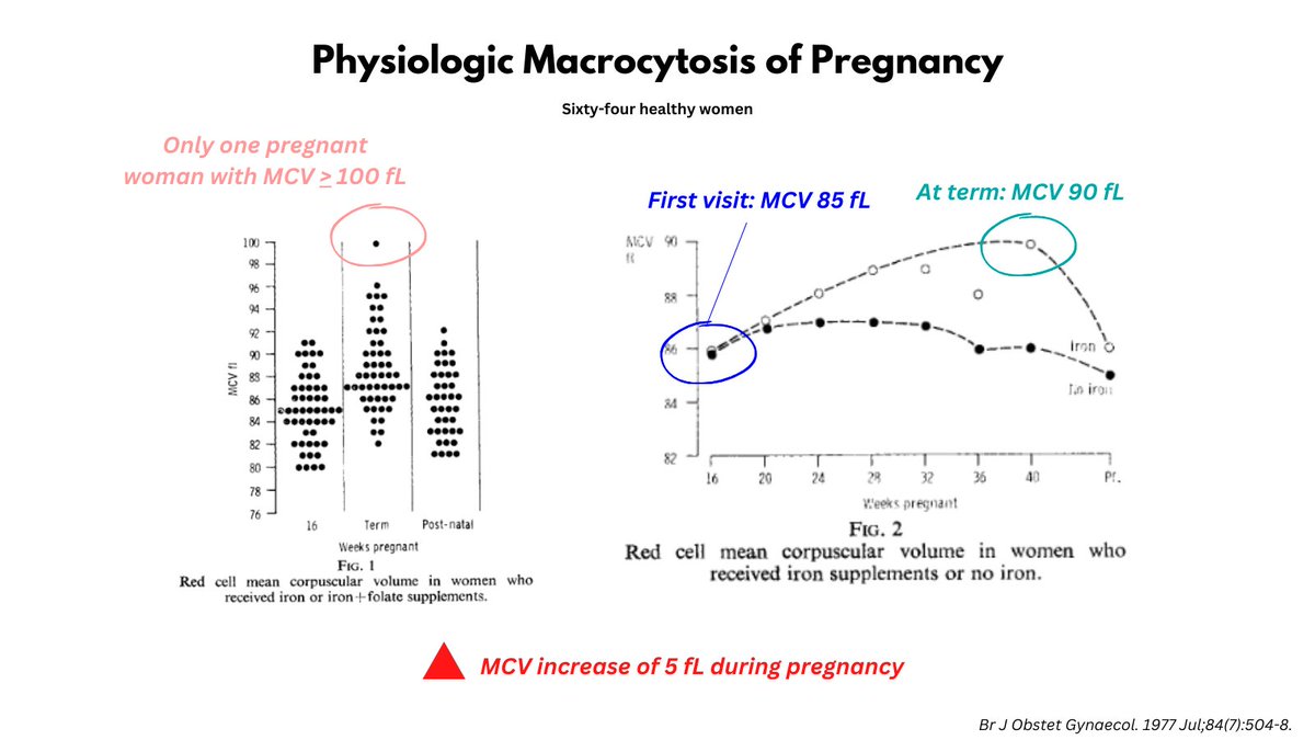 1-6-normocytic-normochromic-iron-deficiency-anemia-ida-we-tend-to